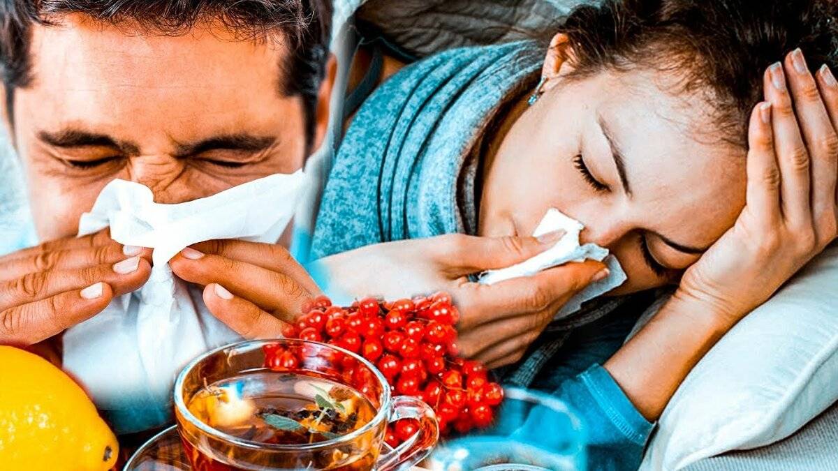Лечение простуды в домашних условиях: препараты и рецепты народных средств