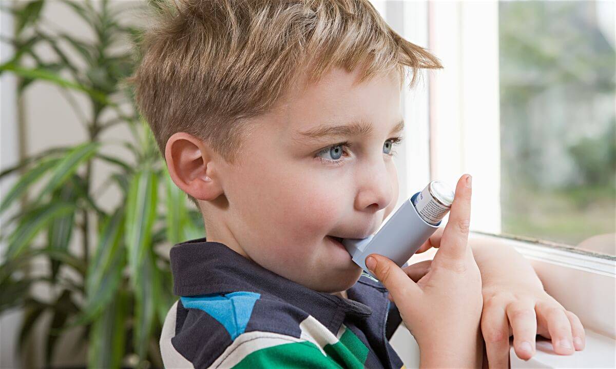 Астма у ребенка. причины, симптомы, лечение и профилактика астмы у детей | здоровье детей