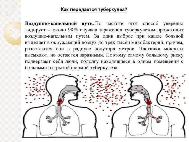 Каким путем передается туберкулез легких? способы заражения туберкулезом - sammedic.ru
