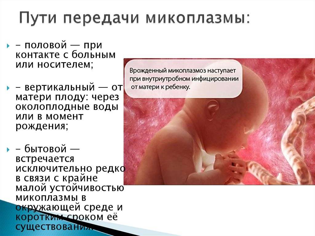 Клебсиелла пневмония при беременности: в мазке и в моче проявление болезни, а также симптоматика и особенности  развития, и необходимое лечение