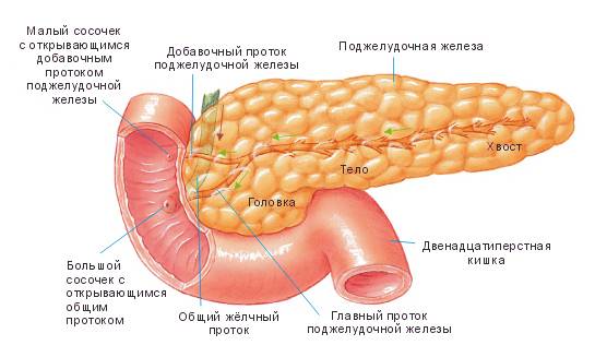 Диффузные изменения печени и поджелудочной железы по типу жировой дистрофии