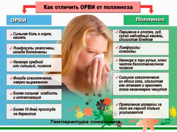 Сенная лихорадка симптомы и лечение, как снять симптомы сенного насморка у ребенка?