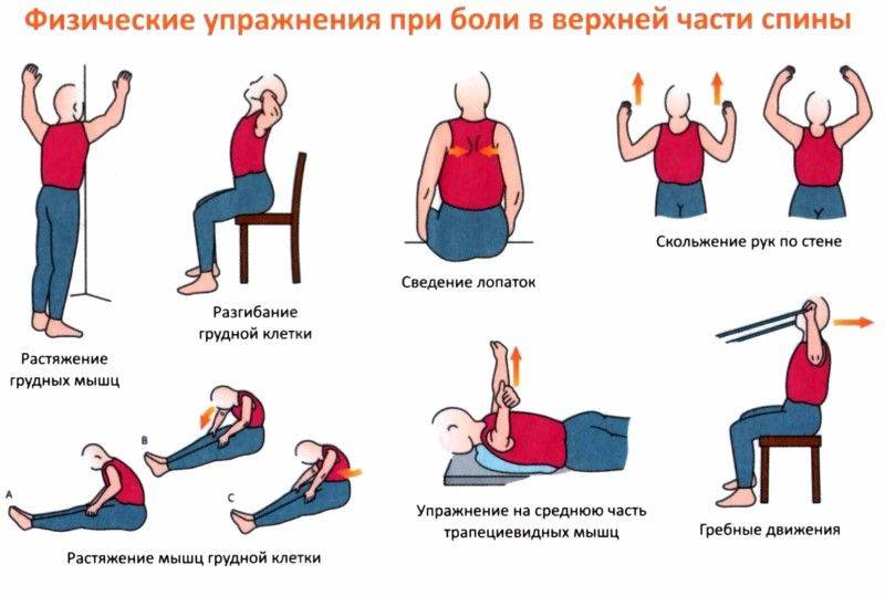 Упражнения для грудного отдела позвоночника