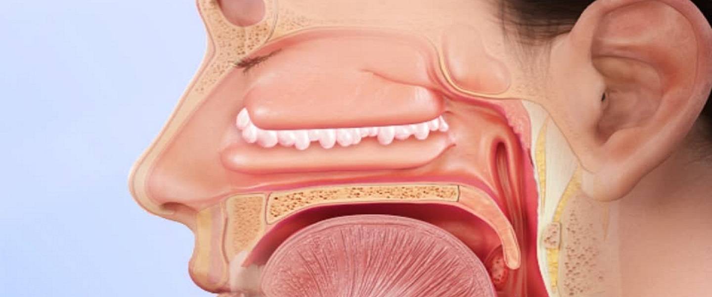 Симптомы и способы лечения полипов в носу
