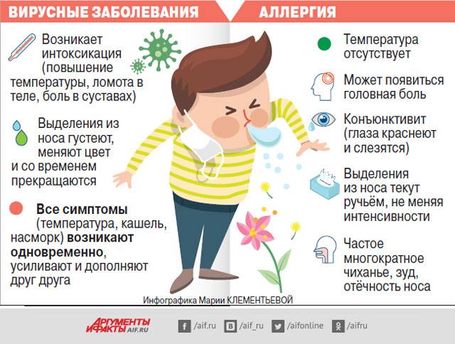 Простудный насморк или аллергический ринит: как определить причину