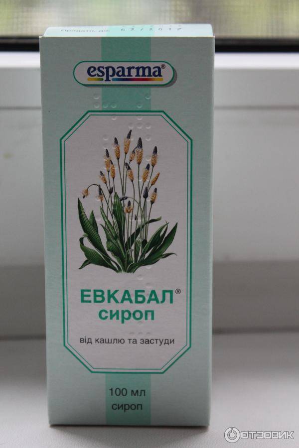 Как приготовить сироп от кашля для детей из подорожника — agroflora.ru