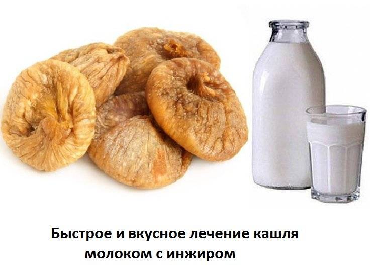 Инжир с молоком от кашля: рецепты, применение для детей и взрослых - onwomen.ru