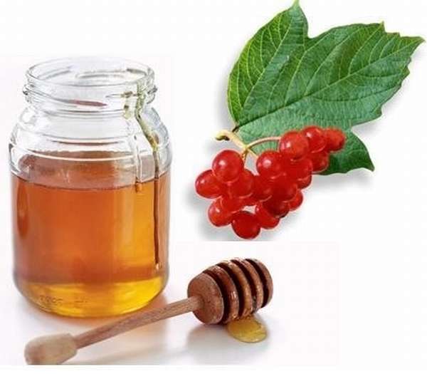 Мед при простуде - самые эффективные рецепты с лимоном, медом и водкой