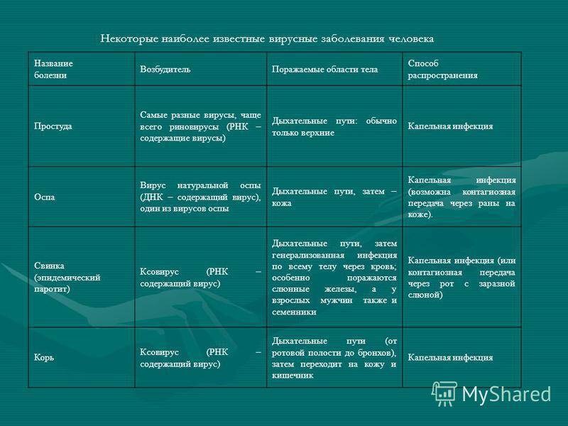 Какие болезни человека вызываются бактериями: список, лечение, профилактика - sammedic.ru
