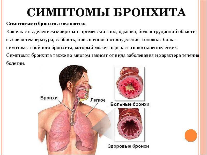 Болят все внутренние органы при кашле