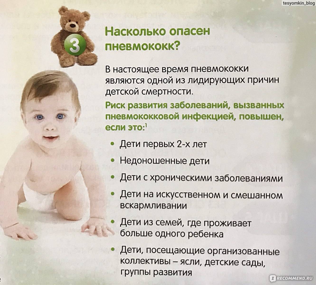 Пневмо 13 или пневмо 23 что лучше. все о прививках. lechimverno.ru