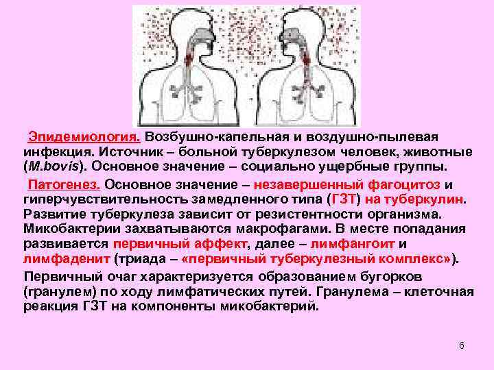 Пневмония передается воздушно-капельным путем – инфекция
