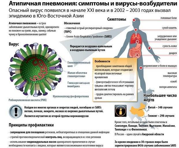Вирусная и бактериальная пневмония: важные особенности заболевания
