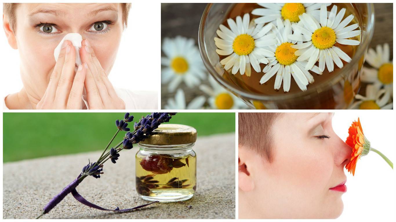 Народные средства от аллергии: самые эффективные при заложенности носа – 7 лучших рецептов