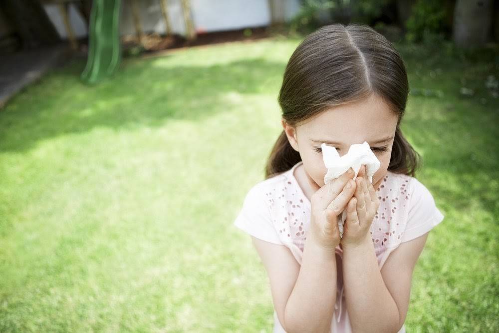 Кашель при поллинозе или сенной лихорадке, симптомы и лечение, сезонный насморк у детей и взрослых
