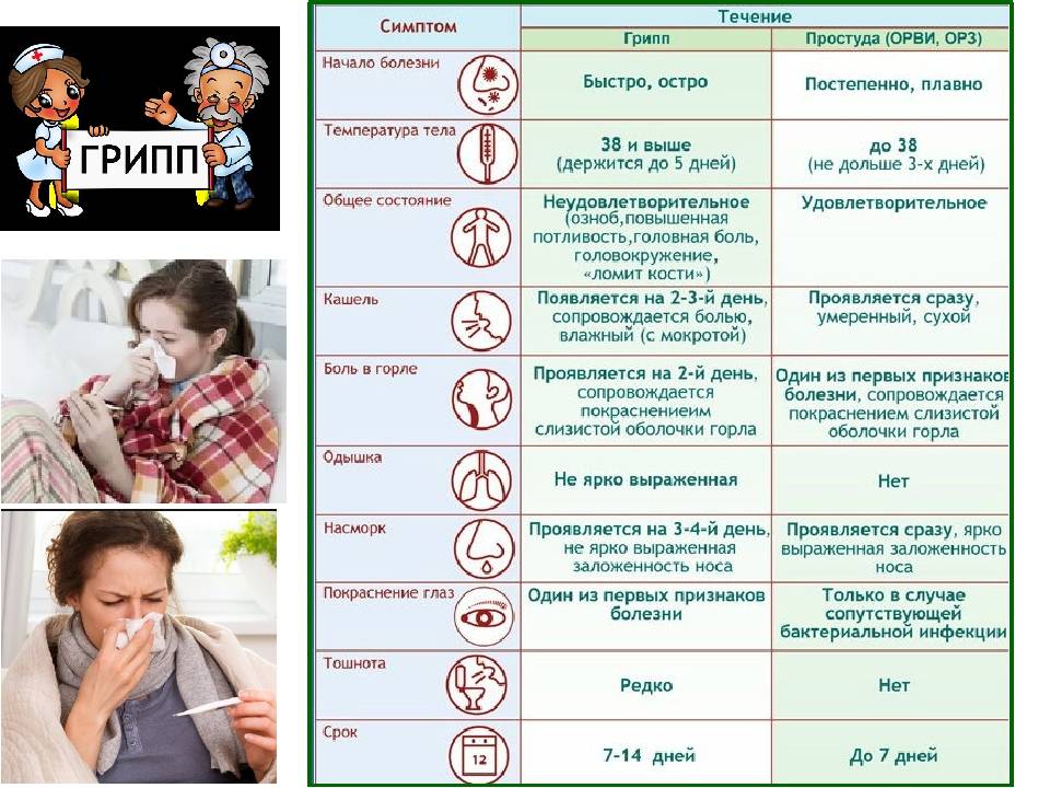 Как отличить грипп от орви: разница в симптоматике, таблица основных различий, лечение у взрослых и детей