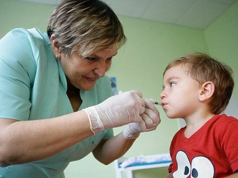Прививки от гриппа: какие делать, можно ли детям, успеваем ли?