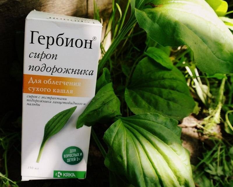Безопасны ли сиропы гербион для лечения кашля при лактации