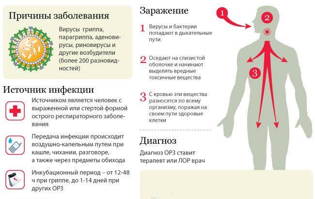 Лечение вирусной инфекции у взрослых (орви): симптомы и препараты