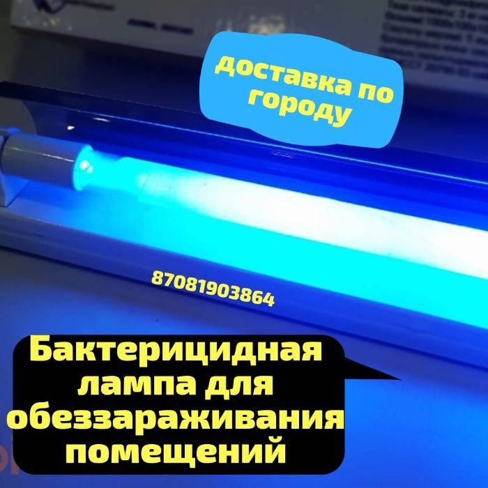 Бактерицидная ультрафиолетовая лампа: что такое, для чего нужна,где приминяется,рейтинг