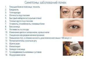 Болезни почек. симптомы и признаки у женщин, температура, задержка, диагностика — medists.ru
