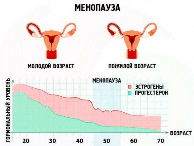 ᐉ пролиферация железистого эпителия при менопаузе - sp-medic.ru