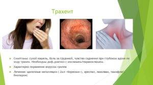 Аллергический трахеит: симптомы, лечение