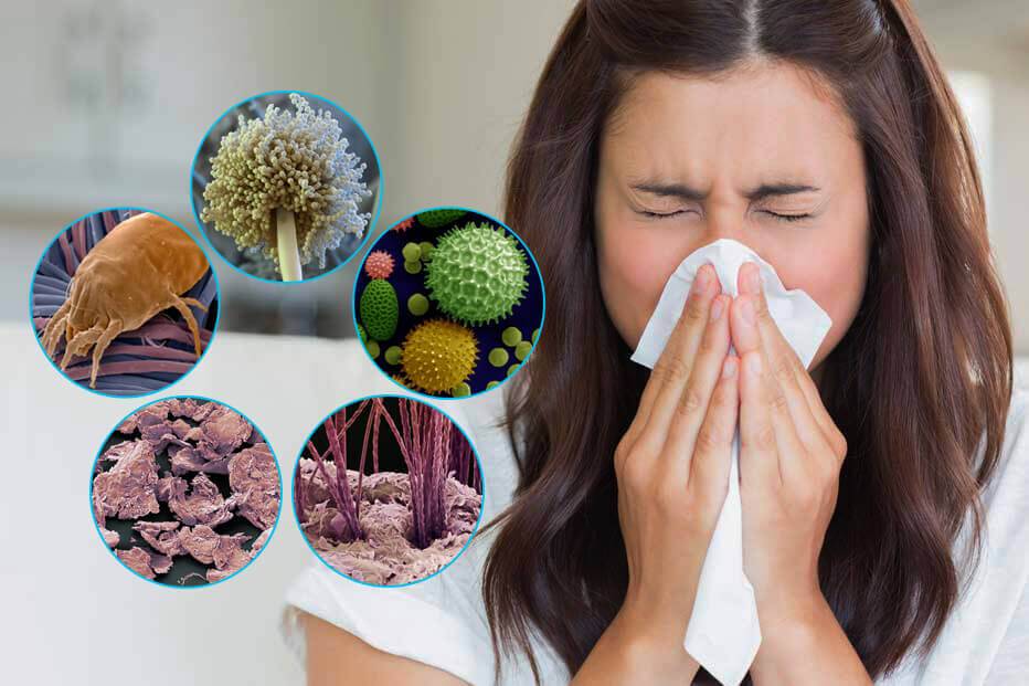 Аллергическая астма: действенное лечение народными средствами