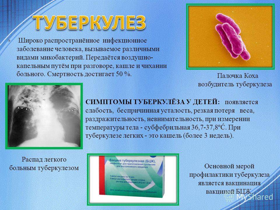 Токсическая пневмония у взрослых: виды, симптомы, диагностика и лечение, а также, из-за чего у человека может быть инфекционный шок? | fok-zdorovie.ru