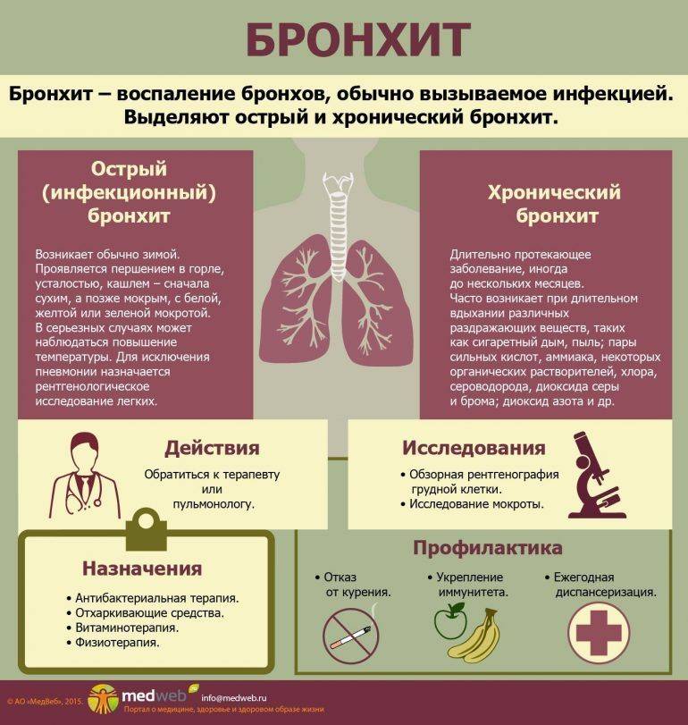 Комаровский - коклюш: симптомы и лечение у детей, паракоклюш
