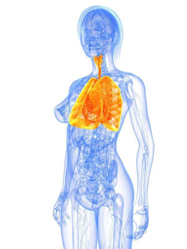 Грибковая пневмония: почему возникает, какие симптомы, как лечить