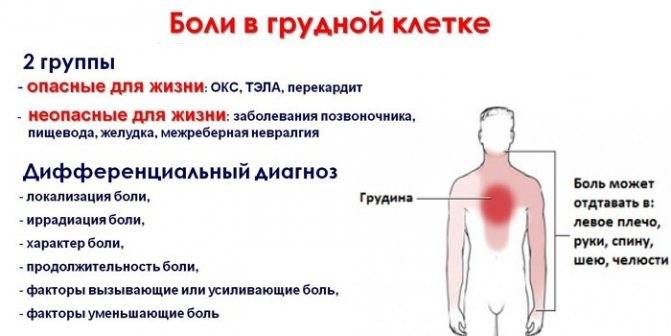 Болят бронхи - что делать при боли в груди при бронхите если кашля нет, но грудная клетка болит на вдохе
