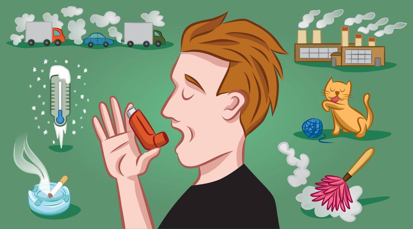 Приступ бронхиальной астмы: как реагировать и как предотвратить
