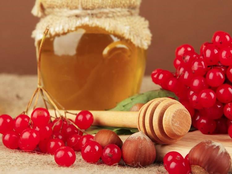 Калина с медом. полезные свойства и противопоказания. рецепты на зиму