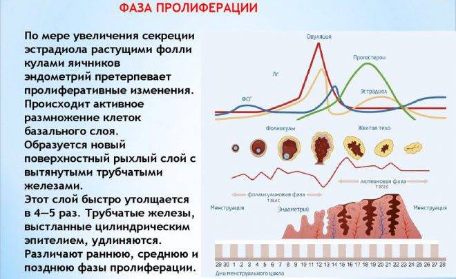 ᐉ что такое воспаление при атрофическом типе мазка у женщин в менопаузе - medik-moscov.ru