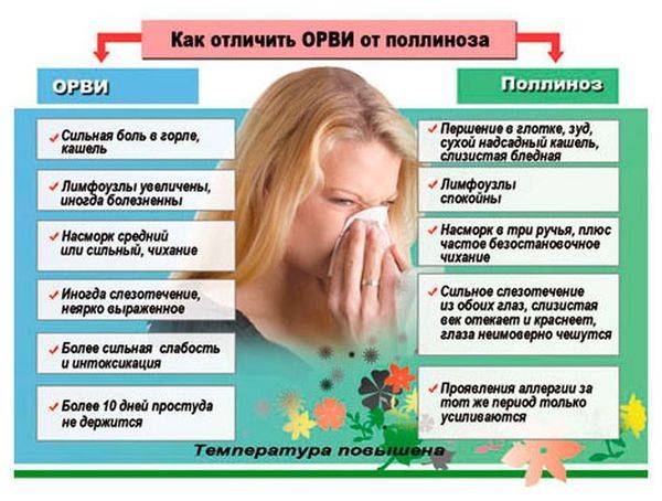 Отличие аллергии от простуды: как определить и правильно лечить
