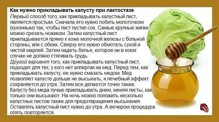 Молоко с медом от кашля: рецепты народных средств со сливочным маслом, содой, укропом