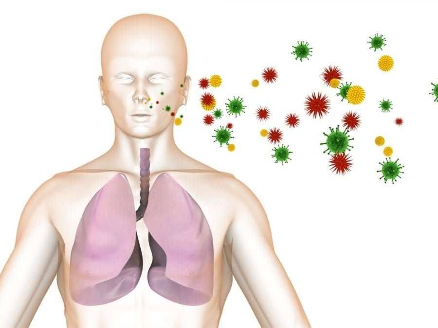 Подробно о пневмонии заразна или нет