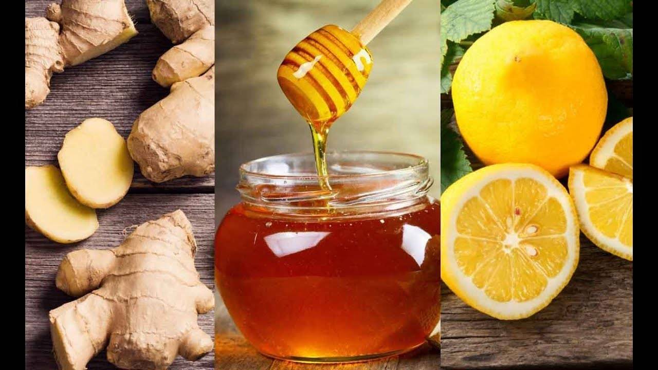Рецепты от простуды из меда, лимона и имбиря: пропорции и польза чая