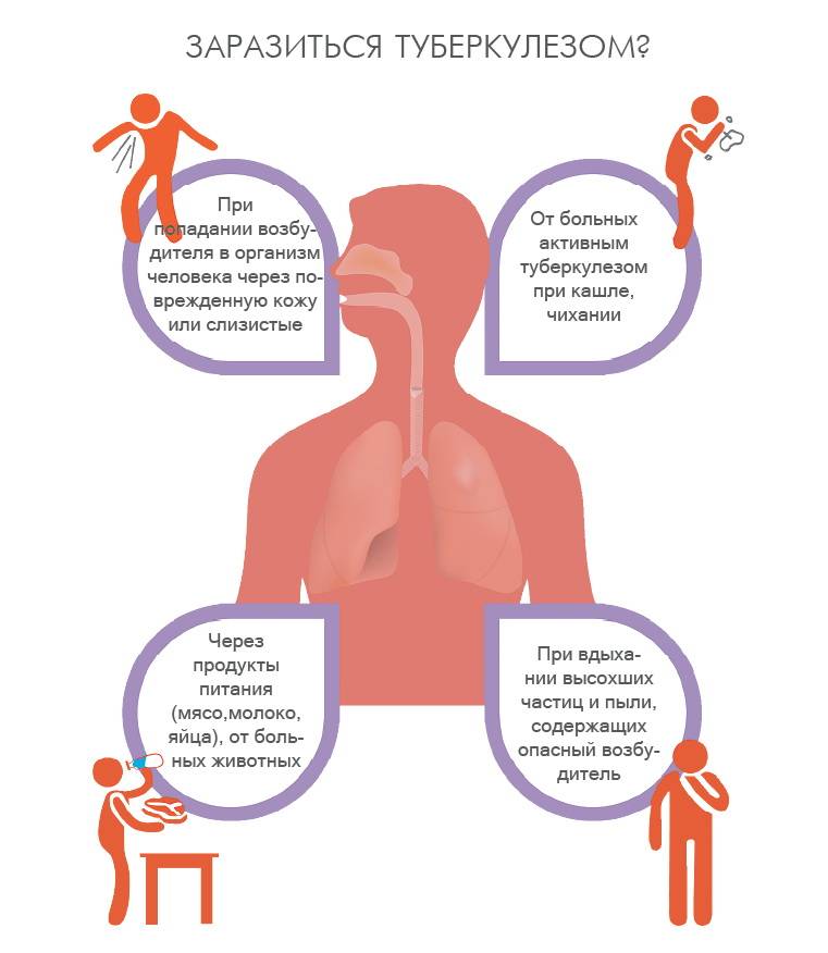 Каким путем передается туберкулез легких