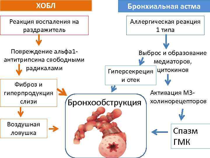 Бронхиальная астма: классификация по степени тяжести pulmono.ru
бронхиальная астма: классификация по степени тяжести