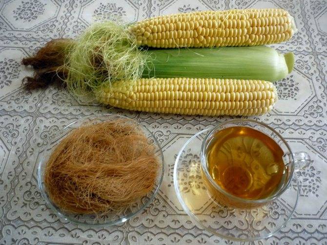 Кукурузные рыльца — лечебные свойства и противопоказания: инструкция и рецепты