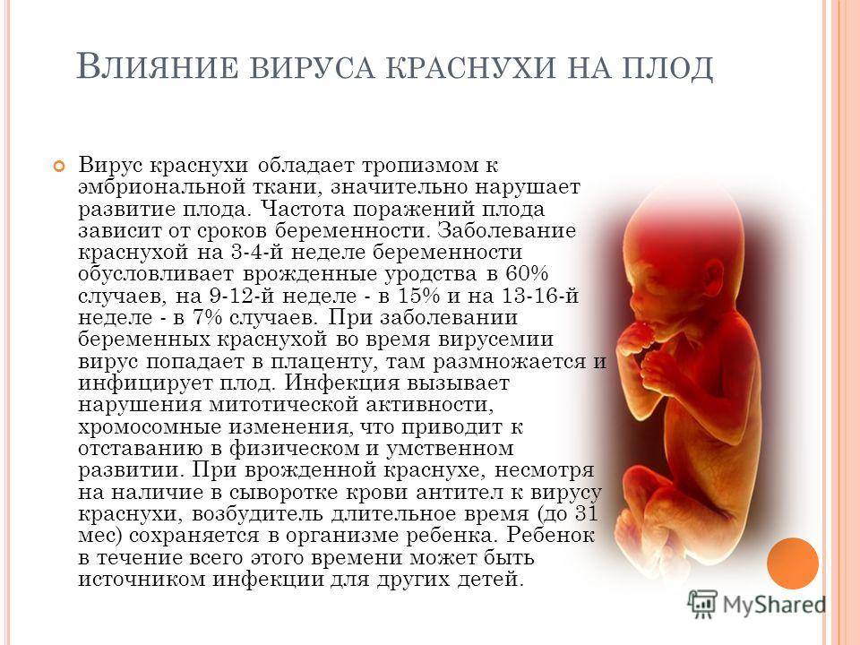 Klebsiella pneumoniae в моче при беременности