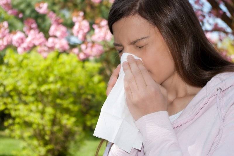 Сенная лихорадка, или сезонная аллергия. как распознать и начать лечение?