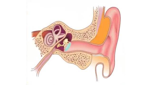 Буллезный отит: симптомы и лечение у взрослых среднего уха, хронический, острый, у детей, антибиотиками