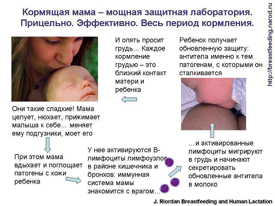 Лечение орви при грудном вскармливании (как лечить кормящую маму по комаровскому, лекарства и препараты при гв)