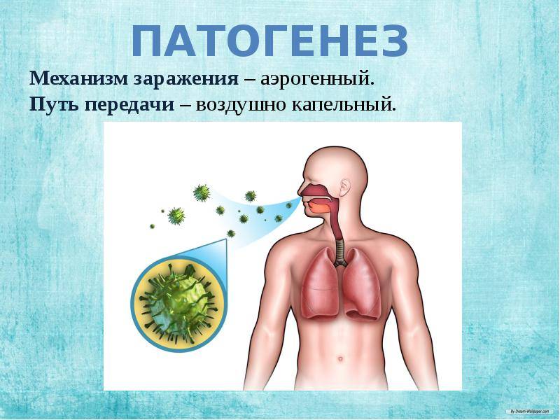 Инфекционная пневмония симптомы и лечение