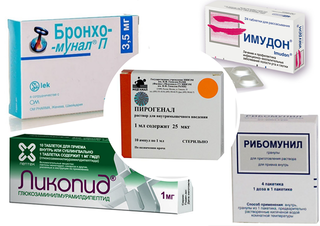 Как повысить иммунитет взрослому человеку: питание, лекарственные препараты, витамины, народные средства - tony.ru