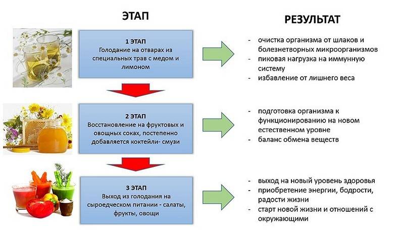 Чудо голодания поль брегга: инструкция к лечению и особенности методики | fok-zdorovie.ru
